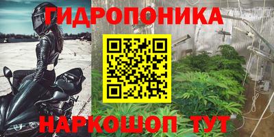 apvp Лесосибирск
