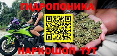 apvp Лесосибирск