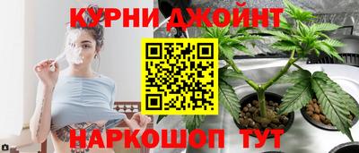 apvp Лесосибирск