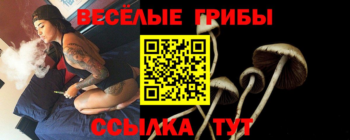 Железногорск  Галлюциногенные грибы ЛСД  Вход с VPN 